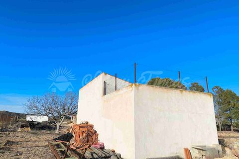 Landejendom i Yecla, Murcia, Yecla - € 185.000 | Ref: SF0522 - foto 25